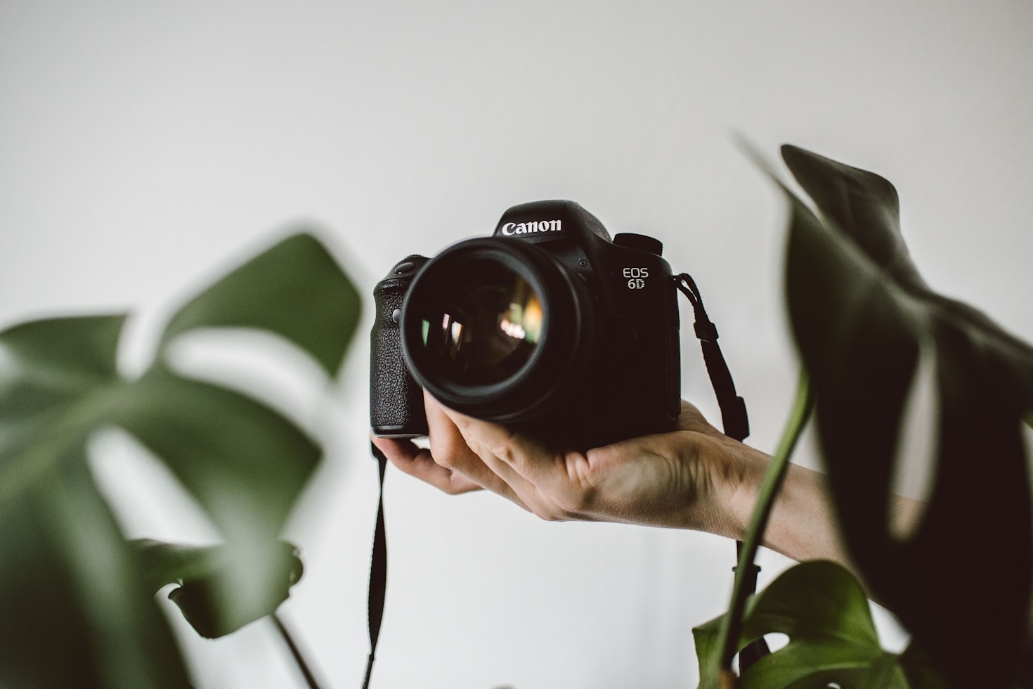 Kreative idéer til fotografering og videooptagelse