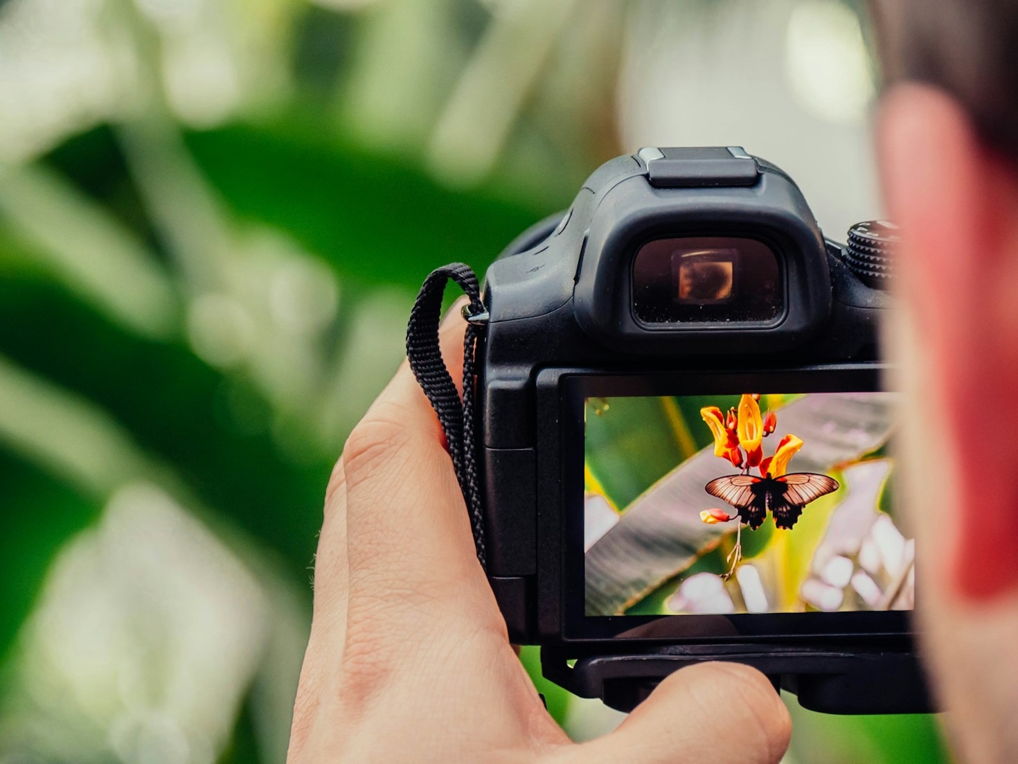 Sådan forbedrer du dine fotograferingsevner